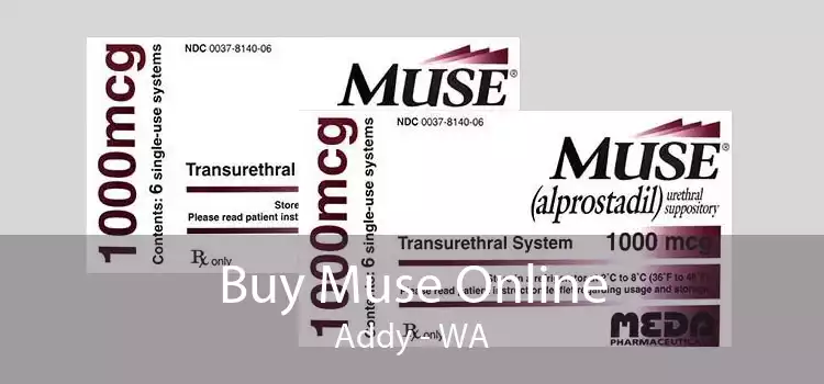Buy Muse Online Addy - WA