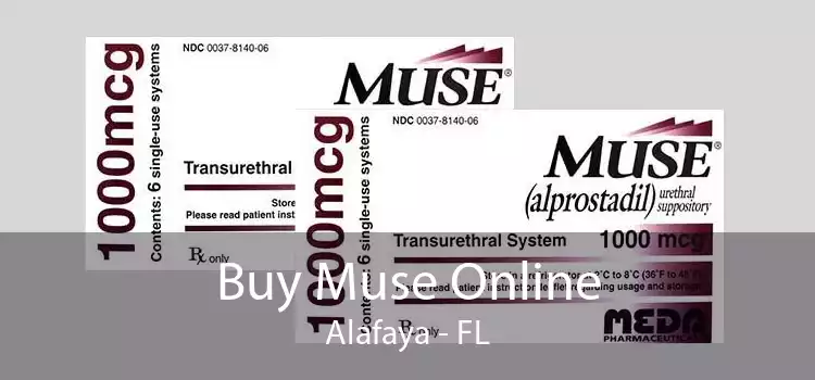 Buy Muse Online Alafaya - FL