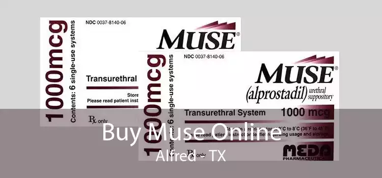 Buy Muse Online Alfred - TX