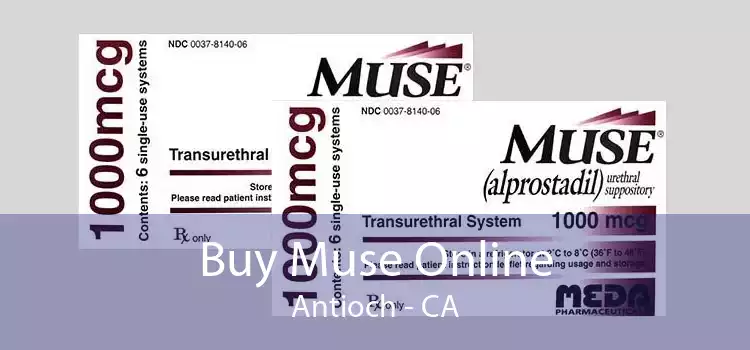 Buy Muse Online Antioch - CA