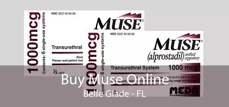 Buy Muse Online Belle Glade - FL