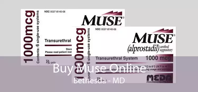 Buy Muse Online Bethesda - MD
