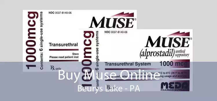 Buy Muse Online Beurys Lake - PA
