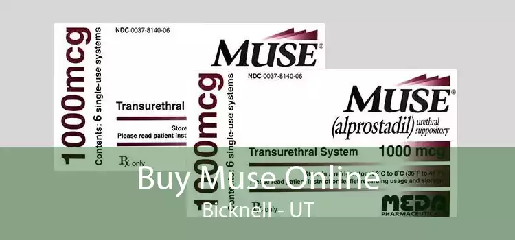 Buy Muse Online Bicknell - UT