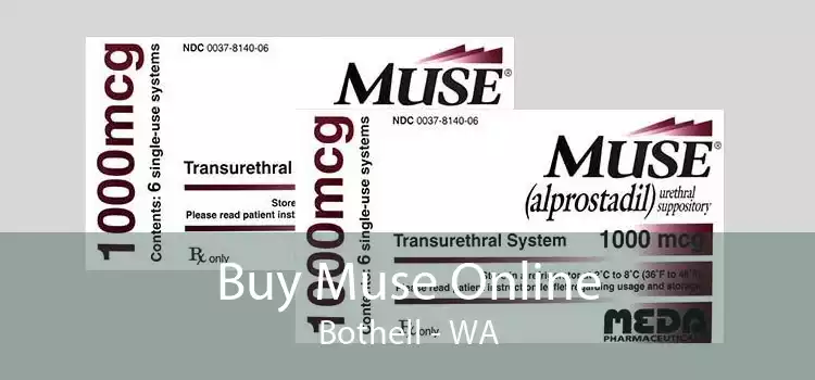 Buy Muse Online Bothell - WA