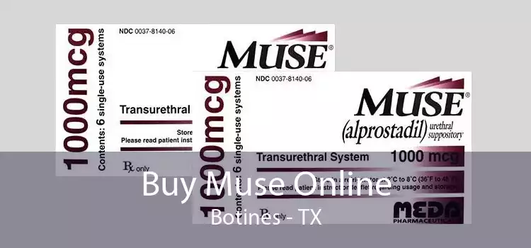 Buy Muse Online Botines - TX