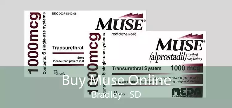 Buy Muse Online Bradley - SD