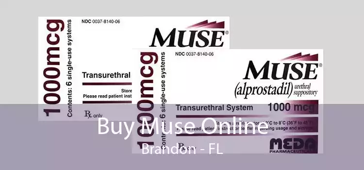 Buy Muse Online Brandon - FL