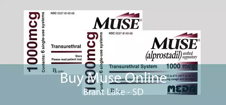 Buy Muse Online Brant Lake - SD
