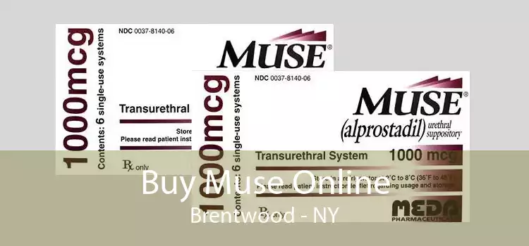 Buy Muse Online Brentwood - NY