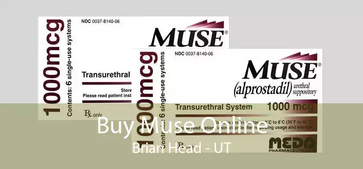 Buy Muse Online Brian Head - UT