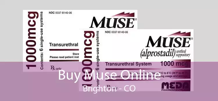 Buy Muse Online Brighton - CO