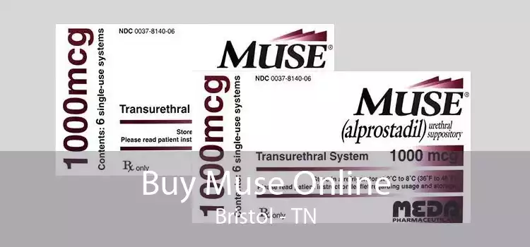 Buy Muse Online Bristol - TN