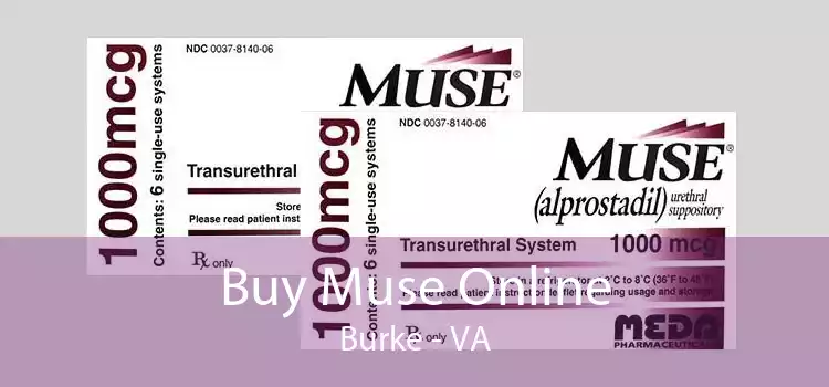 Buy Muse Online Burke - VA