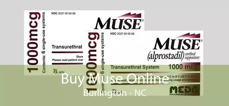 Buy Muse Online Burlington - NC