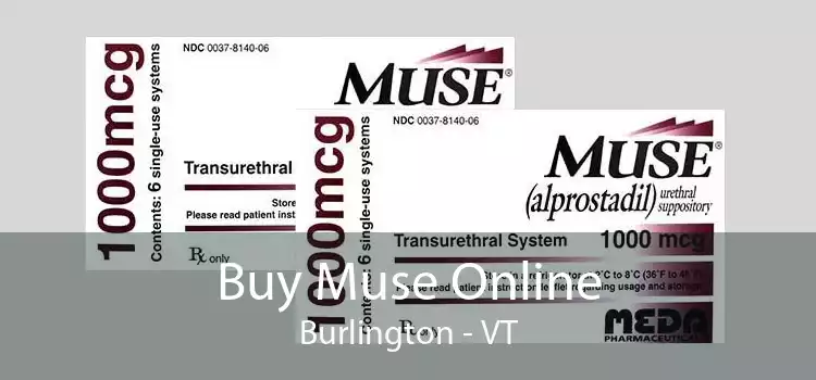 Buy Muse Online Burlington - VT
