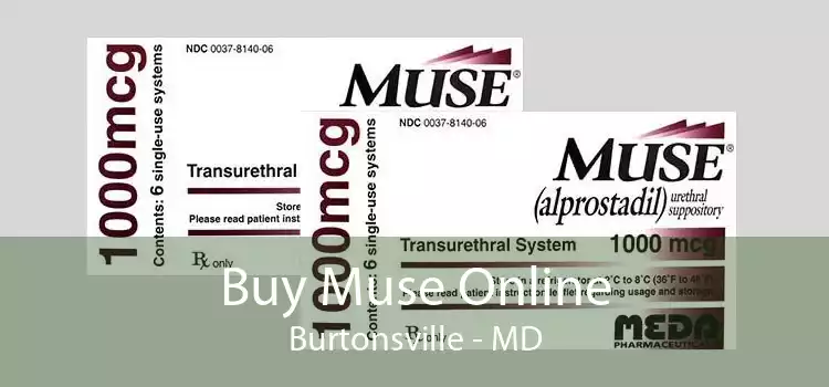 Buy Muse Online Burtonsville - MD