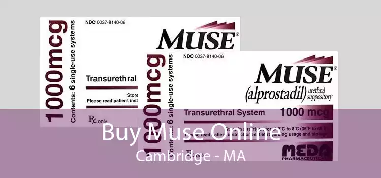 Buy Muse Online Cambridge - MA