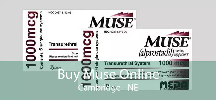 Buy Muse Online Cambridge - NE
