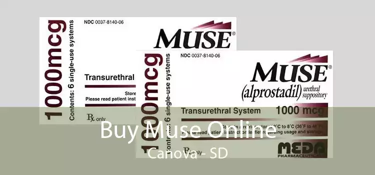 Buy Muse Online Canova - SD