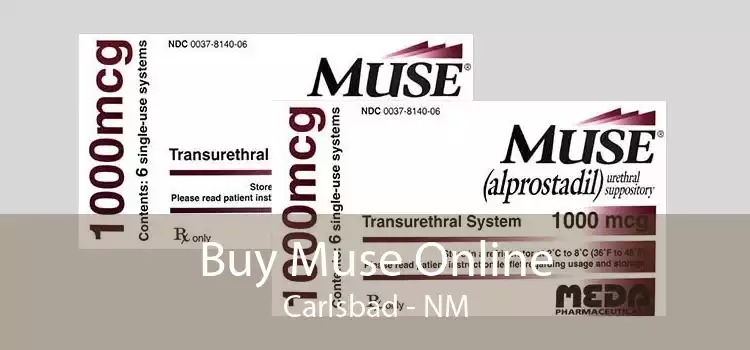 Buy Muse Online Carlsbad - NM