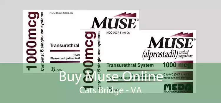 Buy Muse Online Cats Bridge - VA