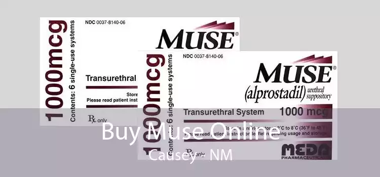 Buy Muse Online Causey - NM