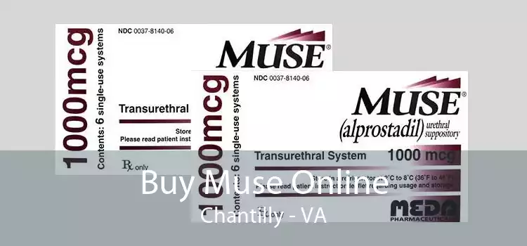 Buy Muse Online Chantilly - VA