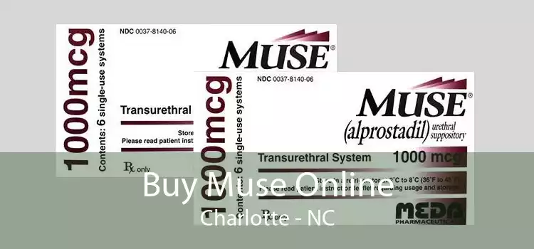 Buy Muse Online Charlotte - NC