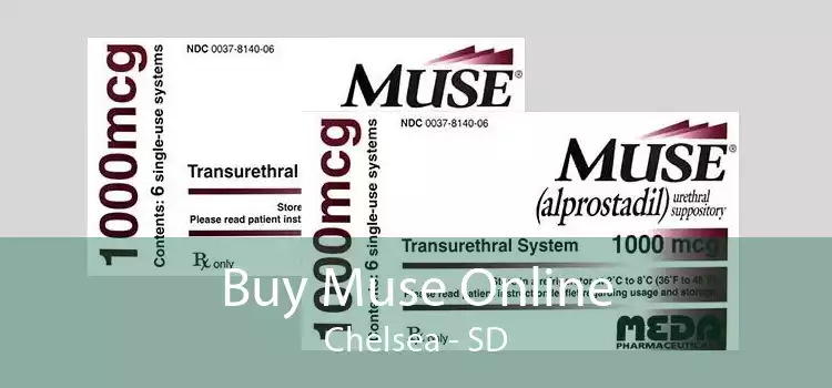 Buy Muse Online Chelsea - SD