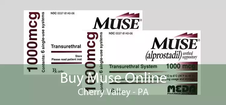Buy Muse Online Cherry Valley - PA
