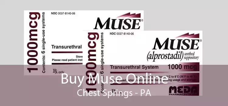 Buy Muse Online Chest Springs - PA