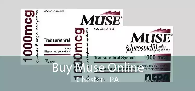 Buy Muse Online Chester - PA
