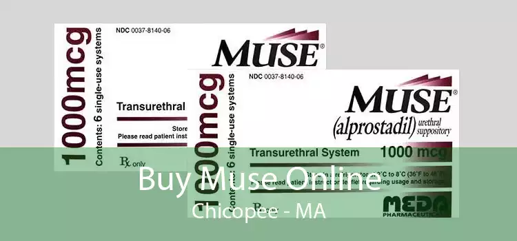 Buy Muse Online Chicopee - MA