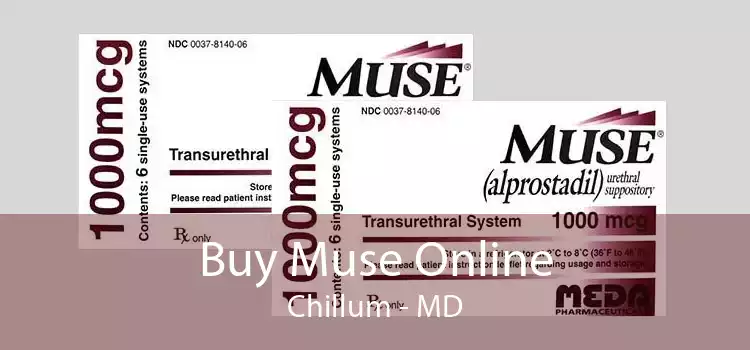 Buy Muse Online Chillum - MD