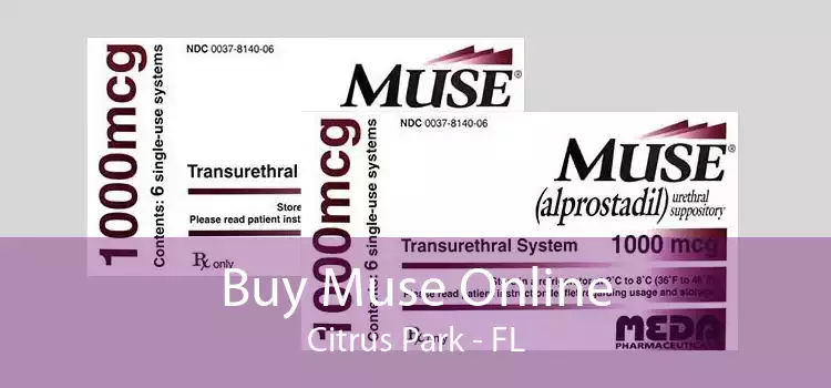 Buy Muse Online Citrus Park - FL