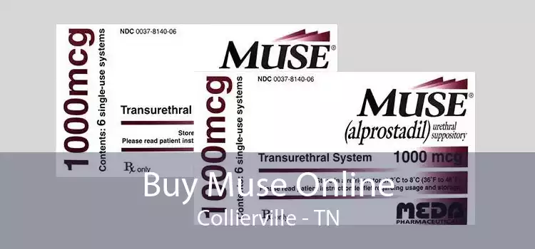 Buy Muse Online Collierville - TN