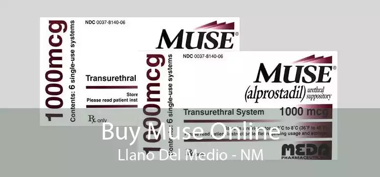 Buy Muse Online Llano Del Medio - NM